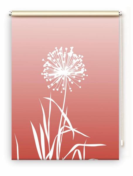 Rollo Allium 24 blanco pfeffer, Rollo, Motivrollo, Rollo mit Druck, Fotorollo, bedrucktes Rollo, Fensterrollo,verdunkelndes Rollo, Sonnenschutz Rollo